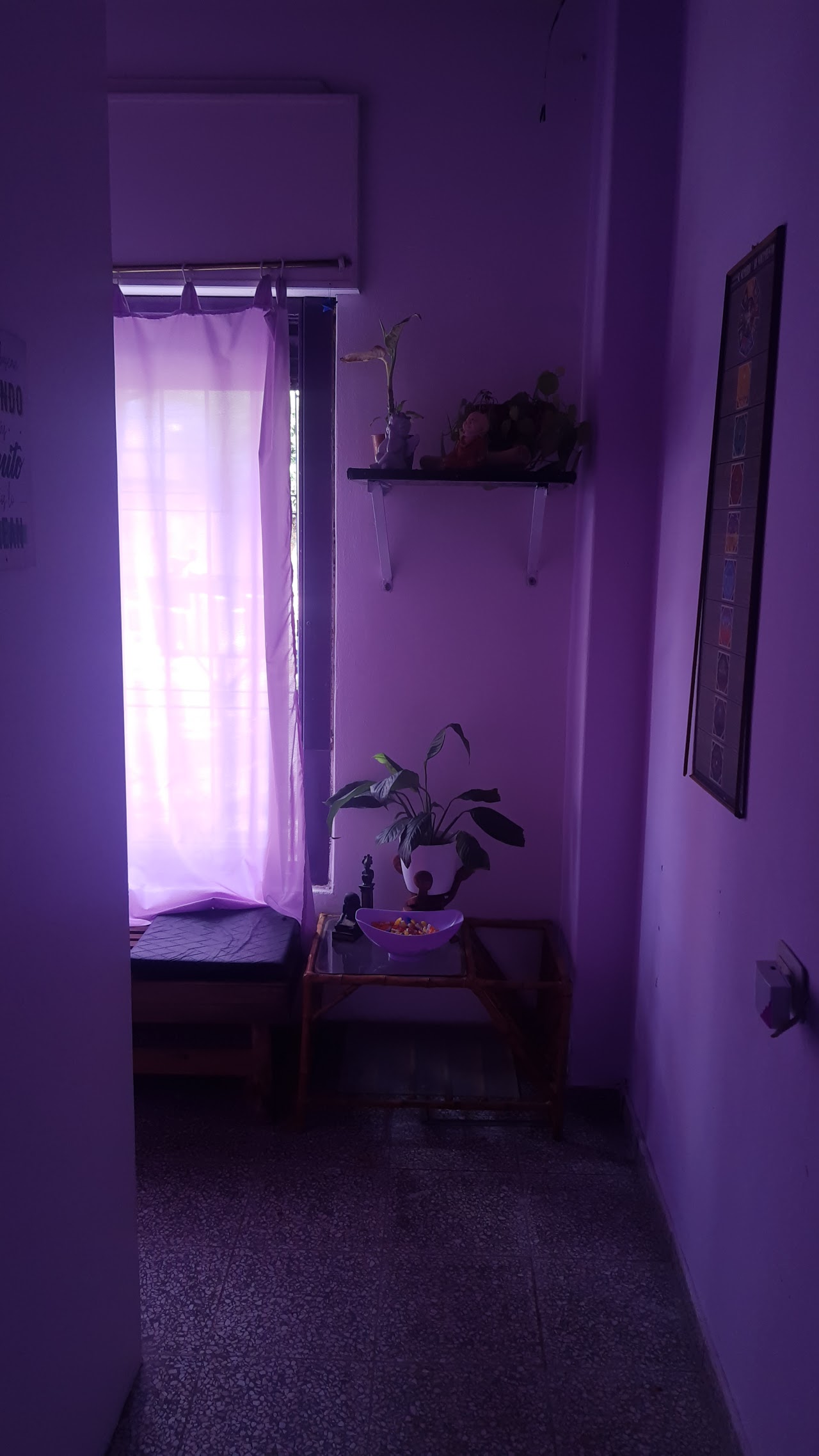 Sala de espera y té con sillones confortables en tonos lavanda y crudo, estantería con frascos botánicos y luz natural